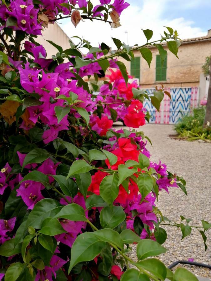 Hotel Mallorca - Adults Only Sineu (Mallorca)